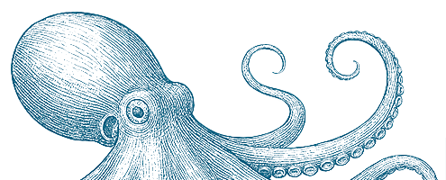 pulpo Cocina canaria